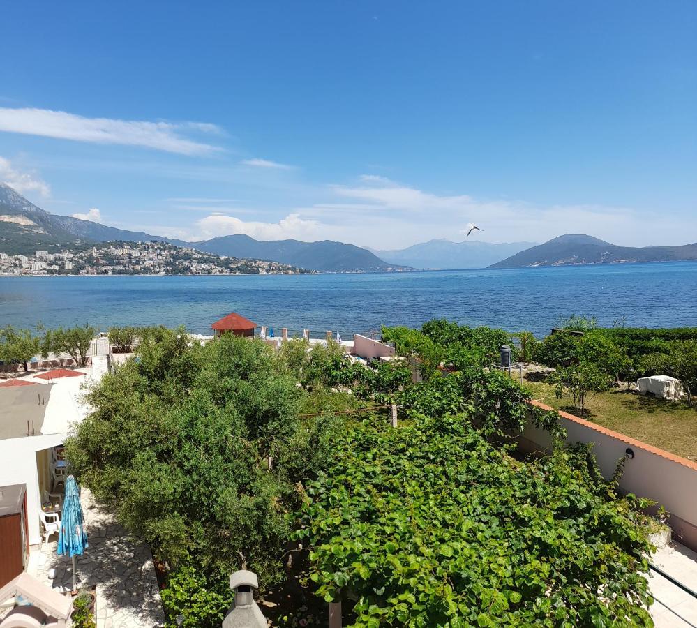 Apartments Maxi Katic Herceg Novi Oda fotoğraf